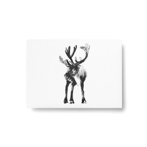 Teemu Jarvi (�ơ��ࡦ������) �ݥ��ȥ����� A6 REINDEER (�ȥʥ���) �̲�/����ƥꥢ/������������Ź��/�ݥ������ڥ᡼���ء�