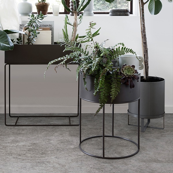 ڼȯferm LIVING (եӥ) Plant Box (ץȥܥå)Round ֥å ̲/ƥꥢ/ȶ/Ź 緿