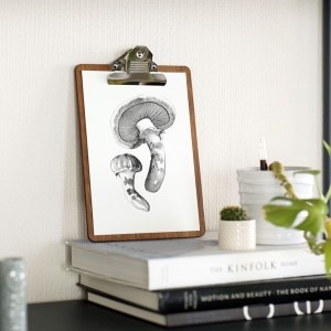 Teemu Jarvi (�ơ��ࡦ������) �ݥ����� A5 MATSUTAKE MUSHROOM �ʾ������̲�/����ƥꥢ/������������Ź�ʡڥ᡼���ء�