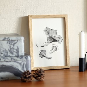 Teemu Jarvi (�ơ��ࡦ������) �ݥ����� A5 CHANTARELLE MUSHROOM �ʥ����ȥ��ޥå���롼����̲�/����ƥꥢ/������������Ź�ʡڥ᡼���ء�