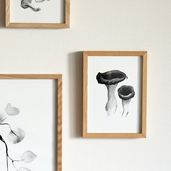 ��50%OFF��Teemu Jarvi (�ơ��ࡦ������) �ݥ����� A5 BLACK TRUMPET MUSHROOM�ʥ֥�å��ȥ��ڥåȥޥå���롼����̲�/����ƥꥢ/������������Ź�ʡڥ᡼���ء�