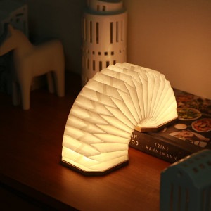 GINGKO (���󥳡�) �������ǥ�������� �̲�/����ƥꥢ/����/���ܾ���