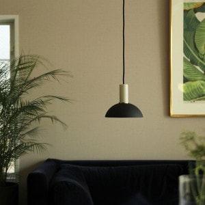 30%OFFFerm Living (եӥ) Collect աץ ֥å/饤ȥ졼/֥饹/ߥ ̲/ƥꥢ//ŹʡڥХåڡоݡ