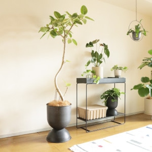 ferm LIVING Hourglass Pot M フォームリビング 鉢 ferm LIVING ファームリビング Hourglass Pot size:M アワー
