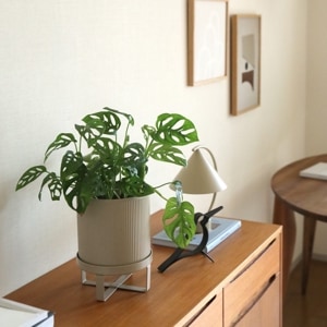 30%OFFFerm Living (եӥ) Bau Pot (Х ݥå) S ֥å/ߥ ̲/ȭС/ȭ/ƥꥢ/ŹʡڥХåڡоݡ