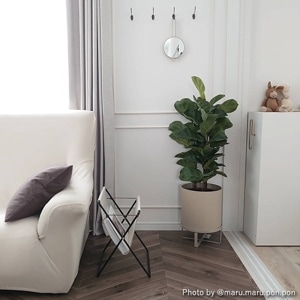 30%OFFFerm Living (եӥ) Bau Pot (Х ݥå) L ֥å/ߥ ̲/ȭС/ȭ/ƥꥢ/ŹʡڥХåڡоݡ