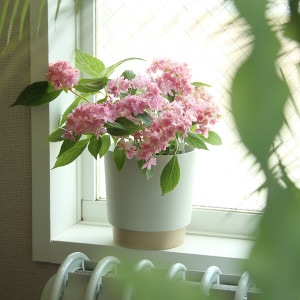 Cooee Design (クーイーデザイン) Pillar Vase (ピラーベース) 24cm