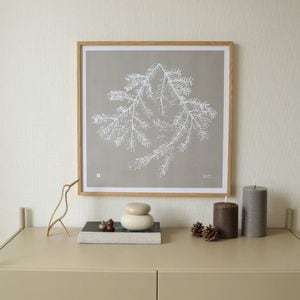 Teemu Jarvi (ơࡦ) ݥ Spruce Branch(ץ롼֥) 5050cm 졼/ե쥹ȥ꡼/ۥ磻 ̲/ե/ƥꥢ/Ź