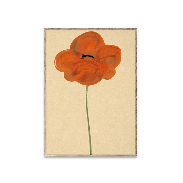Paper Collective �ݥ�������50��70��Orange Vallmo �̲� ����ƥꥢ ������ �ڡ��ѡ����쥯�ƥ��� Amelie Hegardt ������������Ź�ʡڤ����󤻡ۡڥ����ڡ����оݡۡ�����̵����
