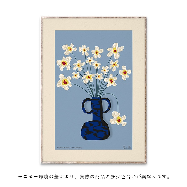 �ڥ����ڡ����оݡۡڤ����󤻡�Paper Collective (�ڡ��ѡ����쥯�ƥ���) �ݥ�������50��70��Flower Studies 04 - Stjarnoga �̲�/����ƥꥢ/������������Ź