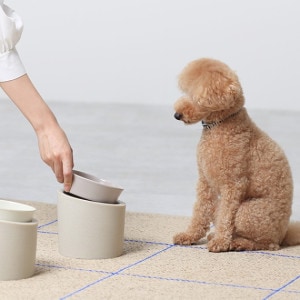 ideaco (���ǥ���) Pet Feeder �ա��� Low/High ���졼���� ��������դ��ա��ɥܥ���