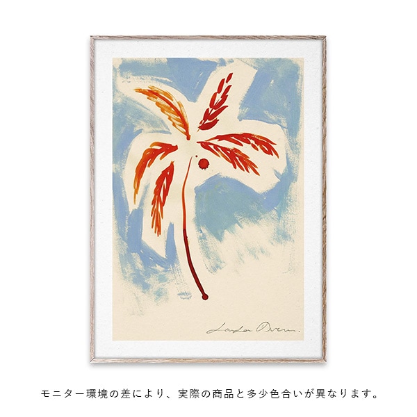 ڥڡоݡۡڤ󤻡Paper Collective (ڡѡ쥯ƥ) ݥ 5070 Stormy Palm ̲/ƥꥢ//Ź