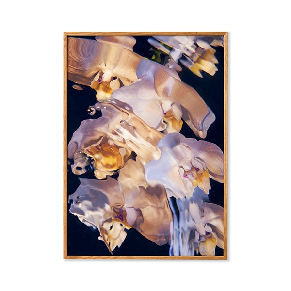 Paper Collective �ݥ�������30��40��Flora Aquatica 01 �̲� ����ƥꥢ ������ �ڡ��ѡ����쥯�ƥ��� Stan Desjeux ������������Ź�ʡڤ����󤻡ۡڥ����ڡ����оݡۡ�����̵����