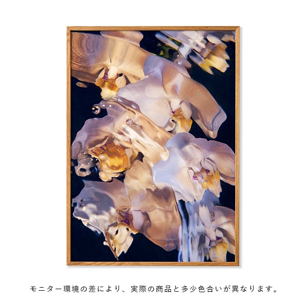 ڥڡоݡۡڤ󤻡Paper Collective (ڡѡ쥯ƥ) ݥ 5070 Flora Aquatica 01 ̲/ƥꥢ//Ź