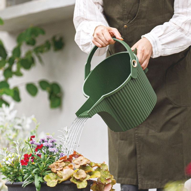 Gardens �����ǥ�ӡ��ȥ� 5L �ۥ磻��/���������꡼��/�֥�å� ���礦��
