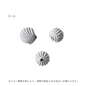 40%OFFCooee Design (ǥ) Sculp The Genesis Shells 3ĥå /饤ॹȡ /̲/ƥꥢ/֥/Ź