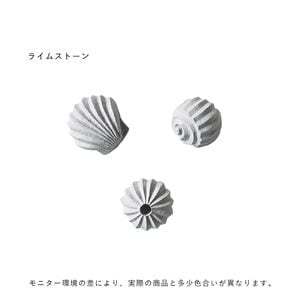 50%OFFCooee Design (ǥ) Sculp The Genesis Shells 3ĥå /饤ॹȡ /̲/ƥꥢ/֥/Ź