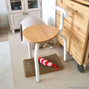 esaila Ogle Chair �������� ������ �ʥ�����ӡ��� �ۥ磻�ȥե졼�� �֥�å��ӡ��� �֥�å��ե졼�� ����ƥꥢ �ػ� �������� ������������Ź�ʡڤ����󤻡�