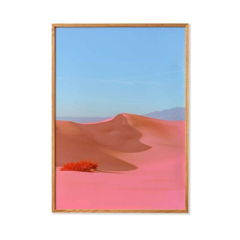 Paper Collective �ݥ�������A4��Dunes II �̲� ����ƥꥢ ������ �ڡ��ѡ����쥯�ƥ��� Xuebing Du ������������Ź�ʡڤ����󤻡ۡڥ����ڡ����оݡۡ�����̵����