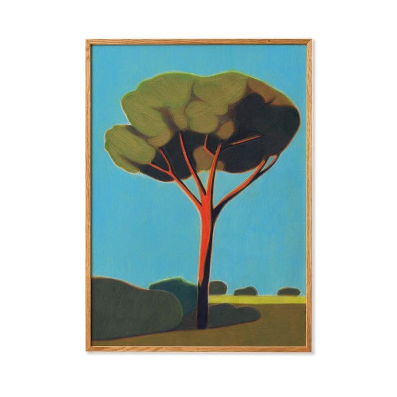 Paper Collective �ݥ�������A4��Pinetree in Toscana �̲� ����ƥꥢ ������ �ڡ��ѡ����쥯�ƥ��� Ana Popescu ������������Ź�ʡڤ����󤻡ۡڥ����ڡ����оݡۡ�����̵����