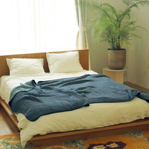 SUNNY LOCATION (ˡ) ǹοϤ褵 6ťС֥֥󥱥å ֥롼ߥͥӡ/١ߥ֥饦