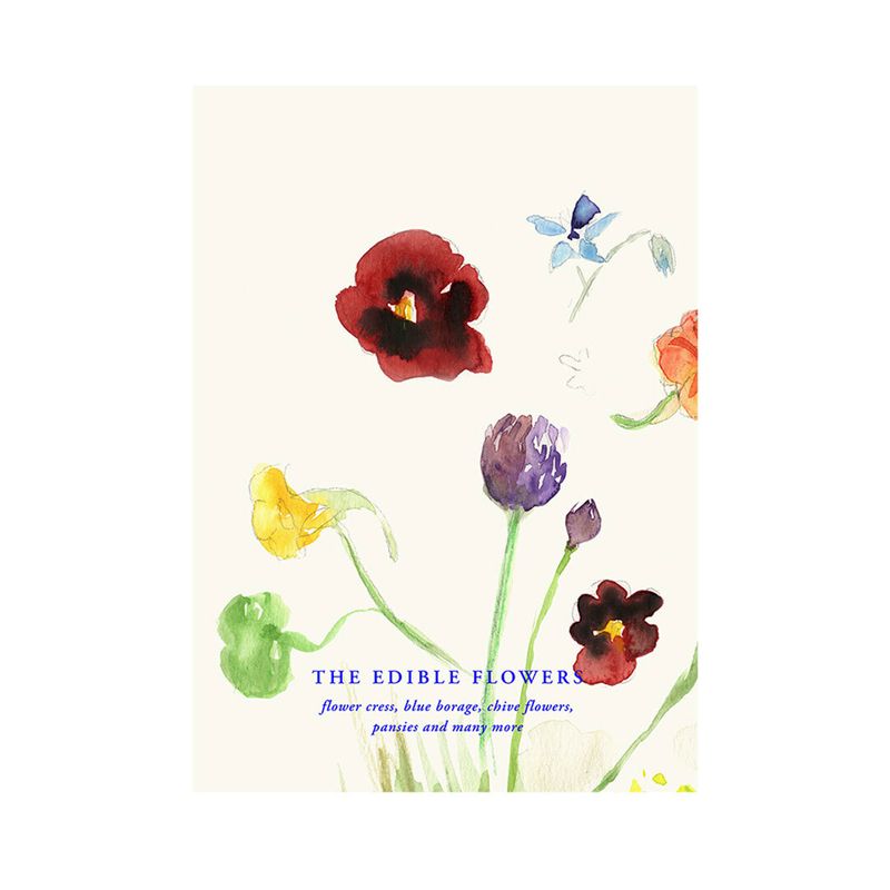 Paper Collective �ݥ�������A4��The Edible Flowers �̲� ����ƥꥢ ������ �ڡ��ѡ����쥯�ƥ��� All The Way To Paris ������������Ź�ʡڤ����󤻡ۡڥ����ڡ����оݡۡ�����̵����