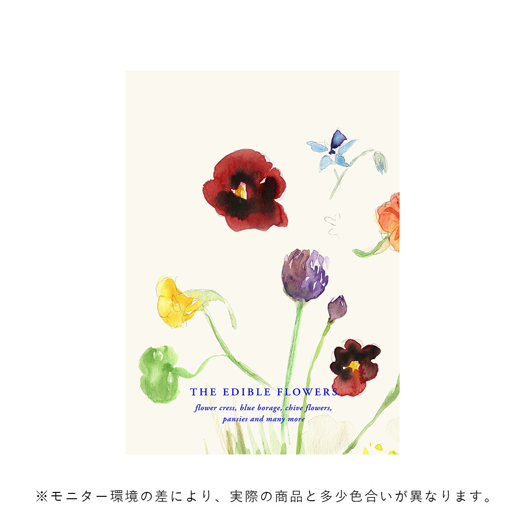 �ڤ����󤻡�Paper Collective (�ڡ��ѡ����쥯�ƥ���) �ݥ����� ��70��100�� The Edible Flowers �̲�/����ƥꥢ/������/������������Ź��