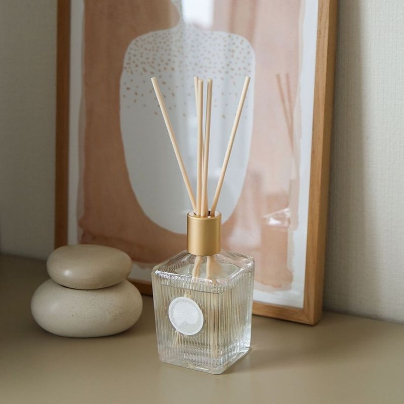 MAINE BEACH (�ޥ���ӡ���) GREAT BARRIER REEF (���졼�ȥХꥢ�꡼��) �ǥ��ե塼����