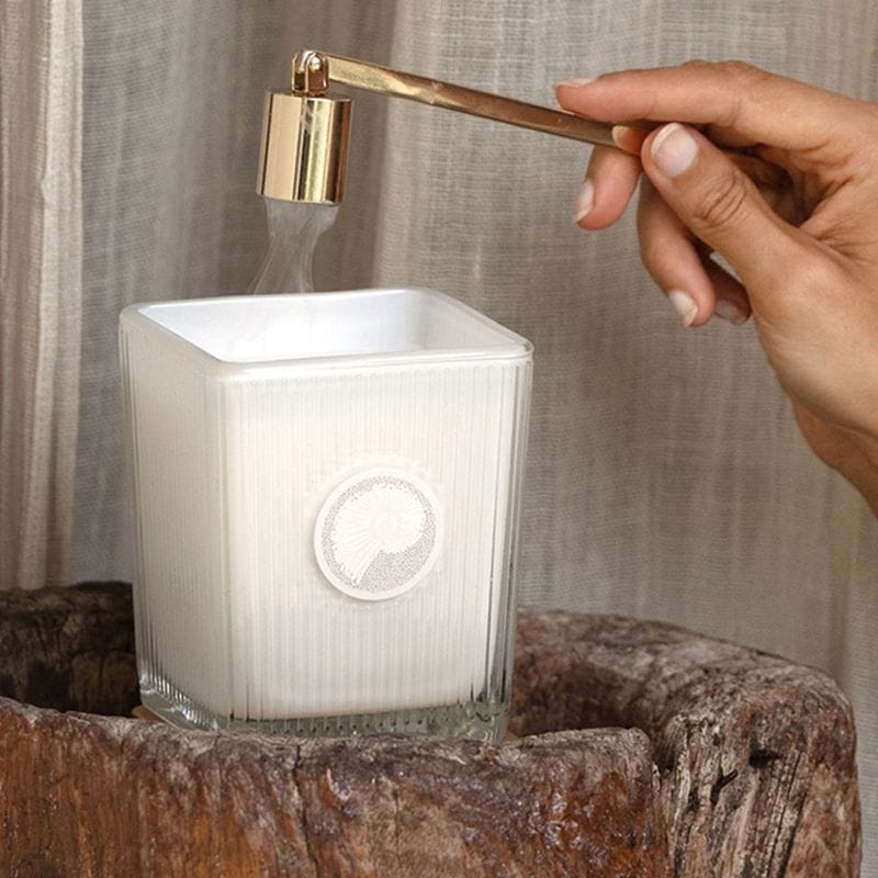 MAINE BEACH (�ޥ���ӡ���) GREAT BARRIER REEF (���졼�ȥХꥢ�꡼��) �ե쥰��󥹥�����å��������ɥ�