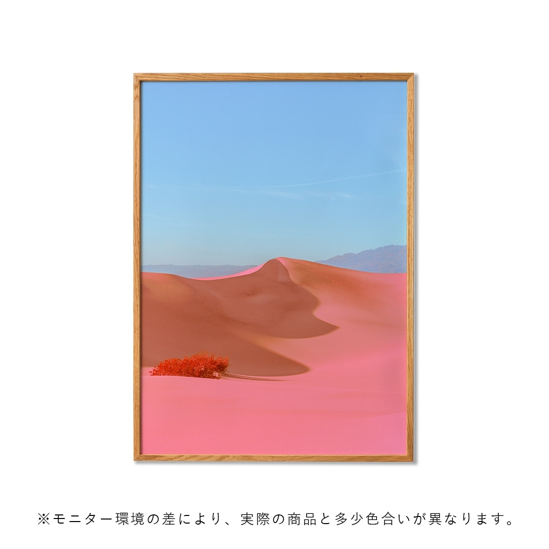 �ڤ����󤻡�Paper Collective (�ڡ��ѡ����쥯�ƥ���) �ݥ�������70��100��Dunes II �̲�/����ƥꥢ/������/������������Ź��