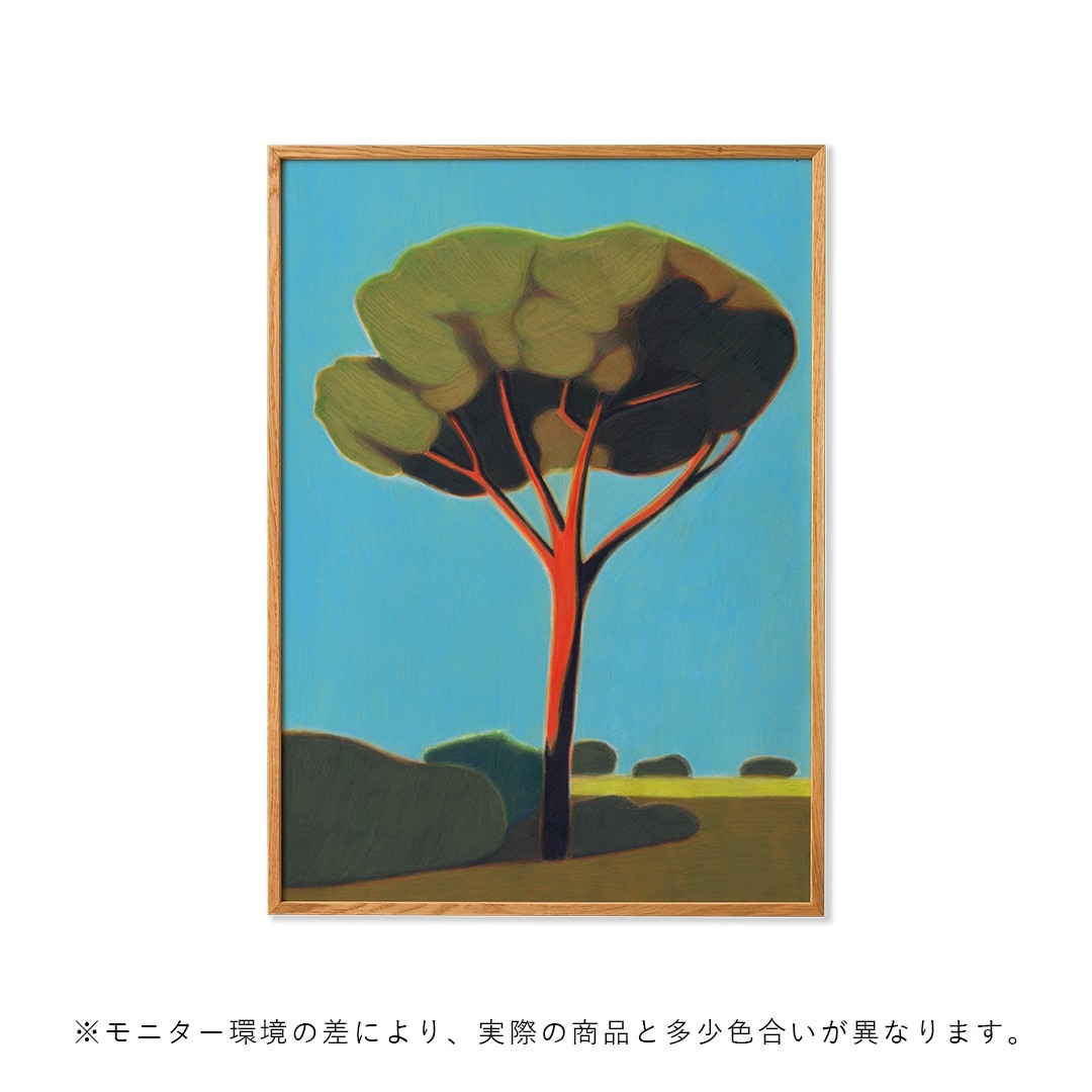 �ڥ����ڡ����оݡۡڤ����󤻡�Paper Collective (�ڡ��ѡ����쥯�ƥ���) �ݥ�������70��100��Pinetree in Toscana �̲�/����ƥꥢ/������/������������Ź��