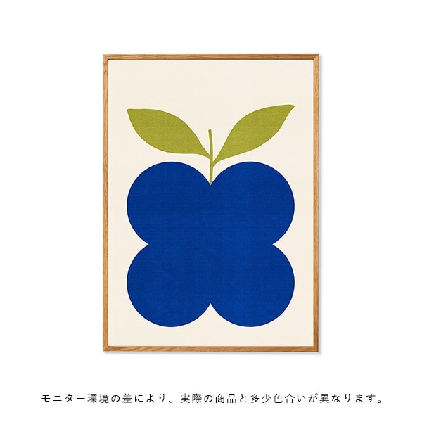 �ڤ����󤻡�Paper Collective (�ڡ��ѡ����쥯�ƥ���) �ݥ�������70��100��Indigo Fruit �̲�/����ƥꥢ/������/������������Ź��