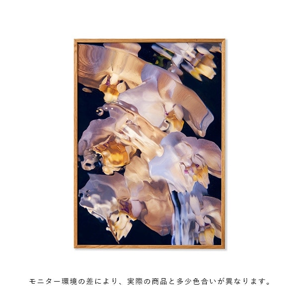 �ڥ����ڡ����оݡۡڤ����󤻡�Paper Collective (�ڡ��ѡ����쥯�ƥ���) �ݥ�������70��100��Flora Aquatica 01 �̲�/����ƥꥢ/������/������������Ź��