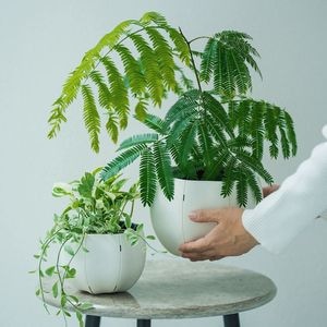 ��3����ȯ��ͽ���Sen (����) Roly pots�ʥ����꡼�ݥå� / �ݡ� M �ۥ磻��/���졼/�֥�å�