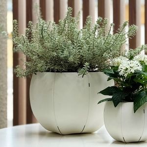 ��3����ȯ��ͽ���Sen (����) Roly pots�ʥ����꡼�ݥå� / �ݡ� L �ۥ磻��/���졼/�֥�å�