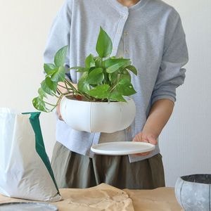 ��3����ȯ��ͽ���Sen (����) Sen�ץ졼�� �� M �ۥ磻��/���졼/�֥�å�