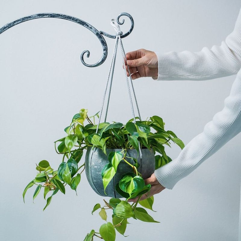 ��3����ȯ��ͽ���Sen (����) Sen���꡼�����ѥ����ס�S�եå��ա� �ۥ磻��/���졼/�֥�å�