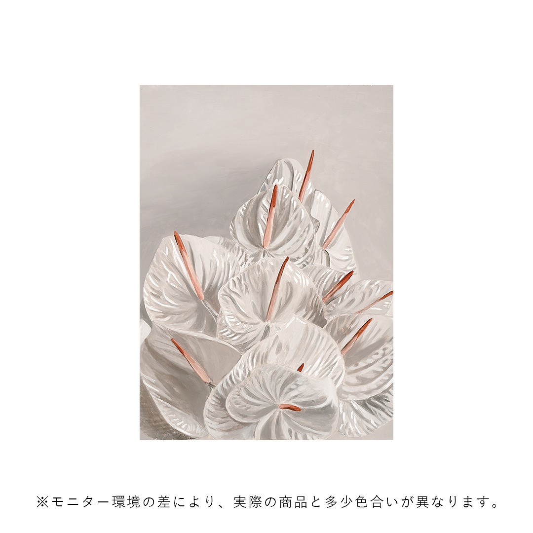 Paper Collective �ݥ�������A4��White In White �̲� ����ƥꥢ ������ �ڡ��ѡ����쥯�ƥ��� Joanna Valtner ������������Ź�ʡڤ����󤻡ۡڥ����ڡ����оݡۡ�����̵����