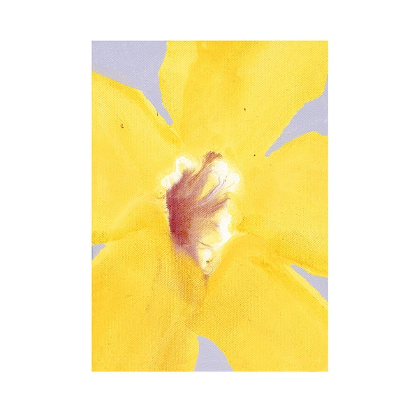 Paper Collective �ݥ�������A4��In Full Bloom 01 �̲� ����ƥꥢ ������ �ڡ��ѡ����쥯�ƥ��� Liat Greenberg ������������Ź�ʡڤ����󤻡ۡڥ����ڡ����оݡۡ�����̵����