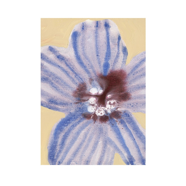 Paper Collective �ݥ�������A4��In Full Bloom 03 �̲� ����ƥꥢ ������ �ڡ��ѡ����쥯�ƥ��� Liat Greenberg ������������Ź�ʡڤ����󤻡ۡڥ����ڡ����оݡۡ�����̵����