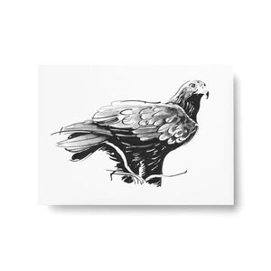 Teemu Jarvi Postcard �ݥ��ȥ����� GOLEDEN EAGLE ���̥亮 A6 10.5��14.8cm �̲� ����ƥꥢ ������������Ź�� �ݥ����� �ơ��ࡦ������ �ڥ᡼���ءۡ�under3500��