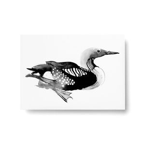 Teemu Jarvi Postcard �ݥ��ȥ����� BLACK-THROATED LOON �����ϥ� A6 10.5��14.8cm �̲� ����ƥꥢ ������������Ź�� �ݥ����� �ơ��ࡦ������ �ڥ᡼���ءۡ�under3500��
