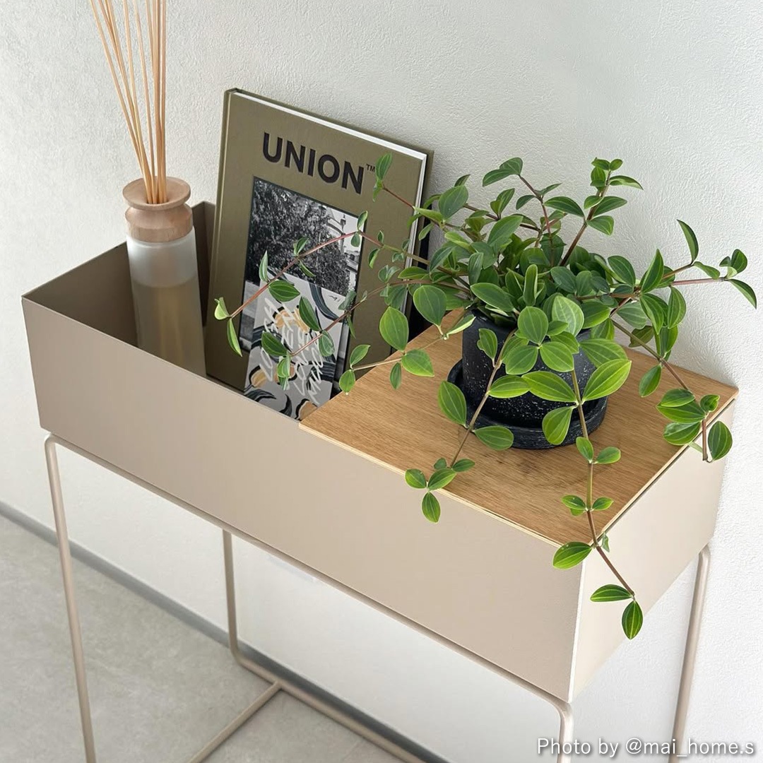 ڹ߸ˤFerm Living (եӥ) Plant Box (ץȥܥå) ߥ ̲/ƥꥢ/ȶ/Źʡ̵