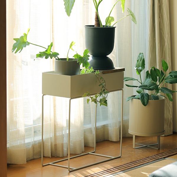 ferm LIVING (եӥ) Plant Box (ץȥܥå) ߥ ̲/ƥꥢ/ȶ/Ź 緿