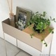 ڹ߸ˤFerm Living (եӥ) Plant Box (ץȥܥå) ߥ ̲/ƥꥢ/ȶ/Źʡ̵