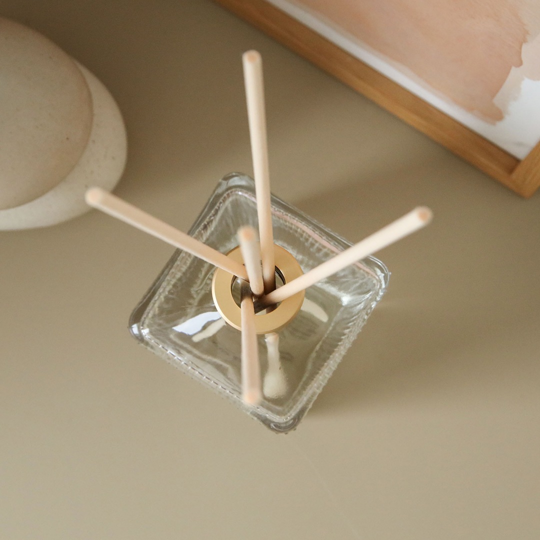 MAINE BEACH (�ޥ���ӡ���) GREAT BARRIER REEF (���졼�ȥХꥢ�꡼��) �ǥ��ե塼����