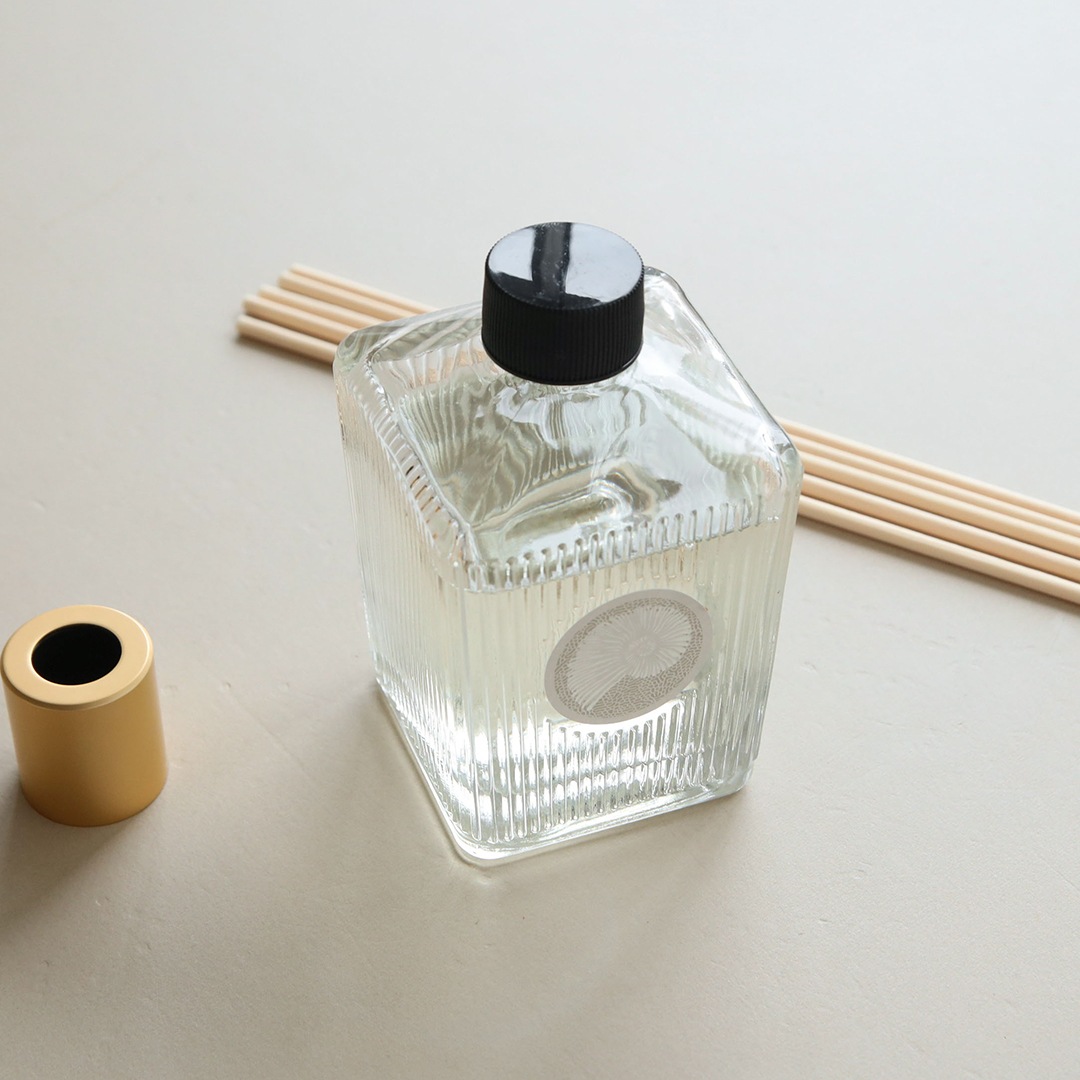 MAINE BEACH (�ޥ���ӡ���) GREAT BARRIER REEF (���졼�ȥХꥢ�꡼��) �ǥ��ե塼����