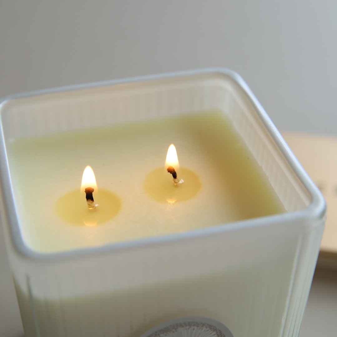 MAINE BEACH (�ޥ���ӡ���) GREAT BARRIER REEF (���졼�ȥХꥢ�꡼��) �ե쥰��󥹥�����å��������ɥ�