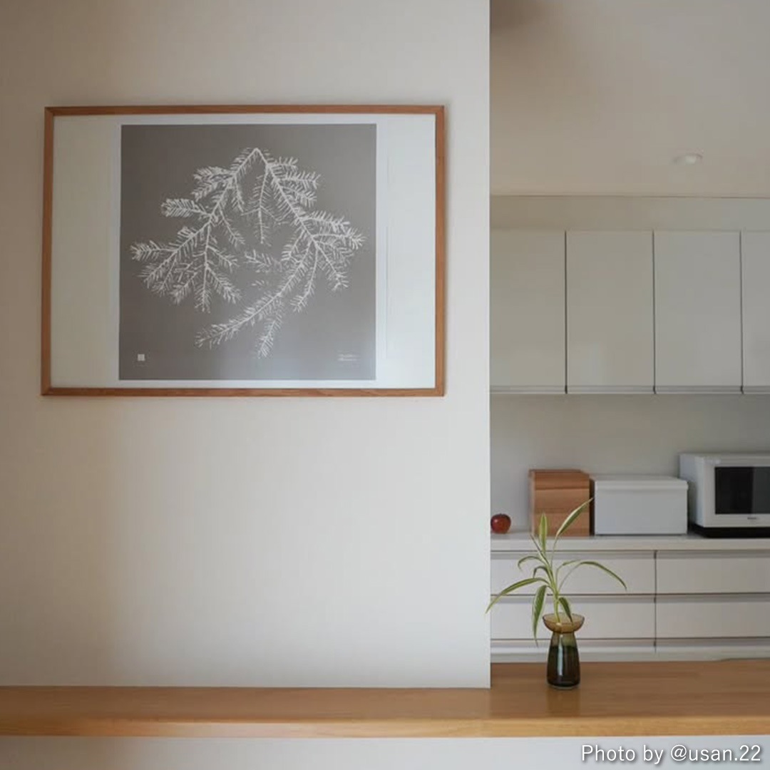 Teemu Jarvi (�ơ��ࡦ������) �ݥ����� Spruce Branch(���ץ롼���֥���) 50��50cm ���졼����/�ե��쥹�ȥ��꡼��/�ۥ磻�� �̲�/�ե������/����ƥꥢ/������������Ź��