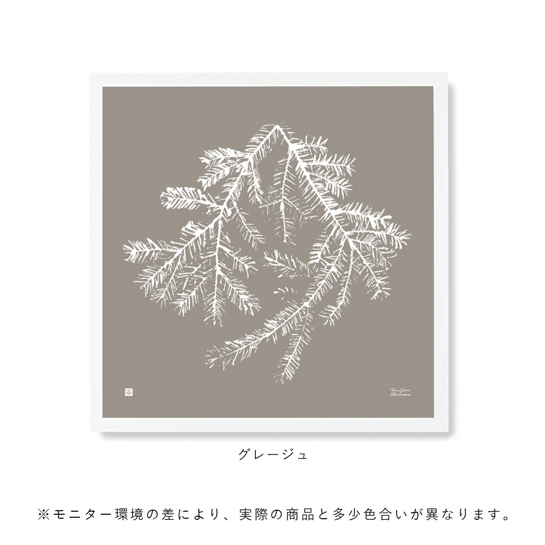 Teemu Jarvi (�ơ��ࡦ������) �ݥ����� Spruce Branch(���ץ롼���֥���) 50��50cm ���졼����/�ե��쥹�ȥ��꡼��/�ۥ磻�� �̲�/�ե������/����ƥꥢ/������������Ź��